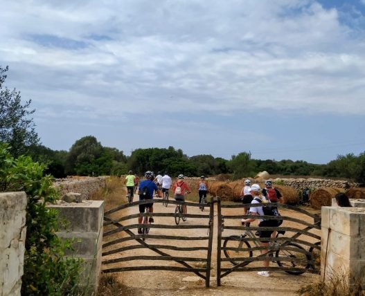 c1fe3b65-2b43-4936-8c64-aa5c3a870a2f